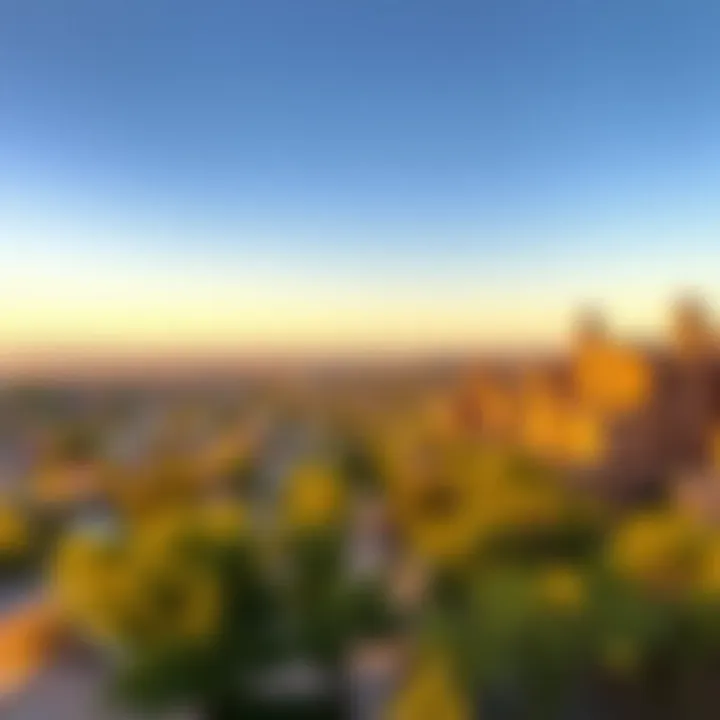 Scenic view showcasing the natural beauty of Rancho Bernardo