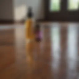 Laminate floor cleaning solution with essential oils
