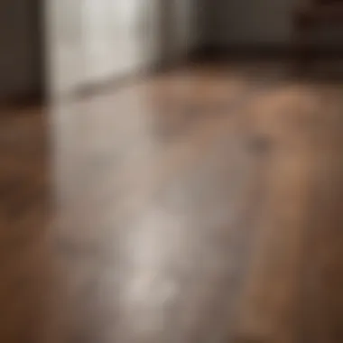 Effortless Laminate Wood Floor Cleaning