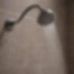 Shower head maintenance guide