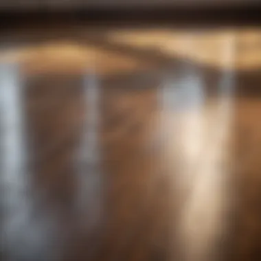 A shiny hardwood floor reflecting natural light after cleaning with vinegar and water