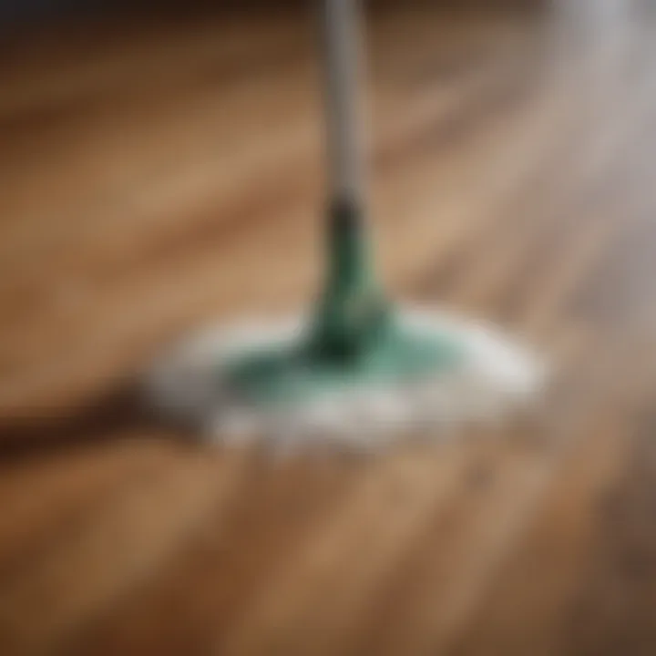 A close-up of a mop spreading vinegar and water on hardwood flooring