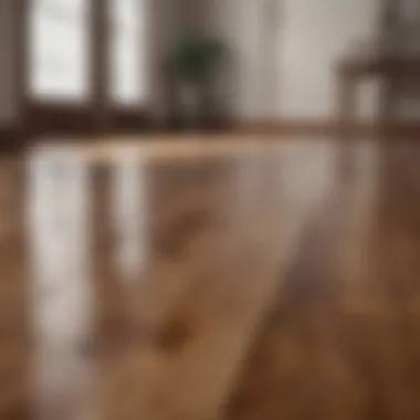 A pristine wooden floor gleaming with the vinegar and water cleaning method