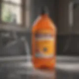 Illustration of a chemical drain cleaner bottle