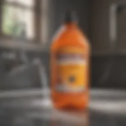 Illustration of a chemical drain cleaner bottle