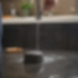 Unclogging a garbage disposal with standing water using plunger