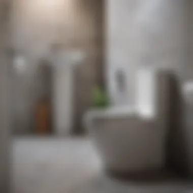 Eco-Friendly Cleaning Solution for Toilets Natural cleaning solution for toilet