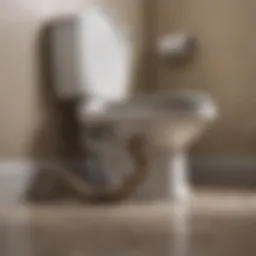 Tool for Unclogging Toilets