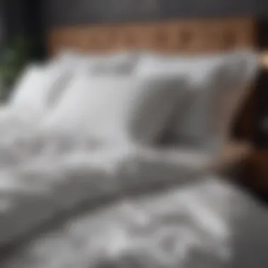 Duvet Set Maintenance Guide A visually appealing infographic on duvet set maintenance