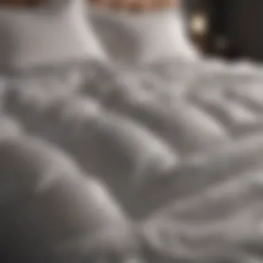 Plush Duvet Design Luxurious duvet showcasing its plush texture and design