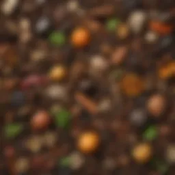 Diverse organic materials in a compost pile showcasing decomposition