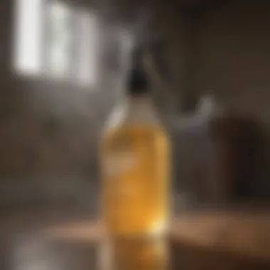 Vinegar Disinfectant Mist Vinegar solution in a misting spray bottle