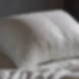 Fluffy down-filled pillow being washed in gentle detergent