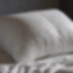 Fluffy down-filled pillow being washed in gentle detergent