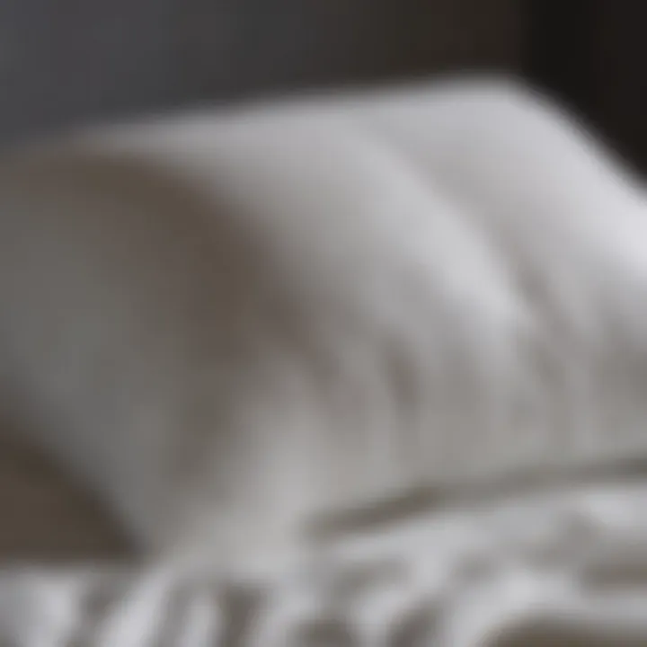 Fluffy down-filled pillow being washed in gentle detergent