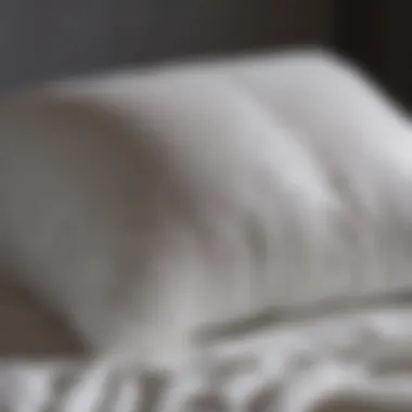 Delicate Washing of Down-Filled Pillow Fluffy down-filled pillow being washed in gentle detergent