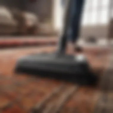 Professional Rug Cleaning Service Equipment Professional Rug Cleaning Service Equipment