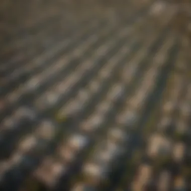 An aerial view of Phoenix highlighting different neighborhoods and green spaces